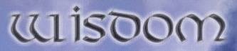 logo Wisdom (ITA)